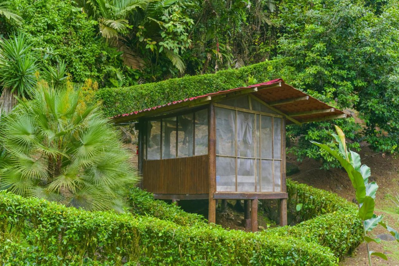 Pacuare River Lodge Bajo Tigre Exterior photo
