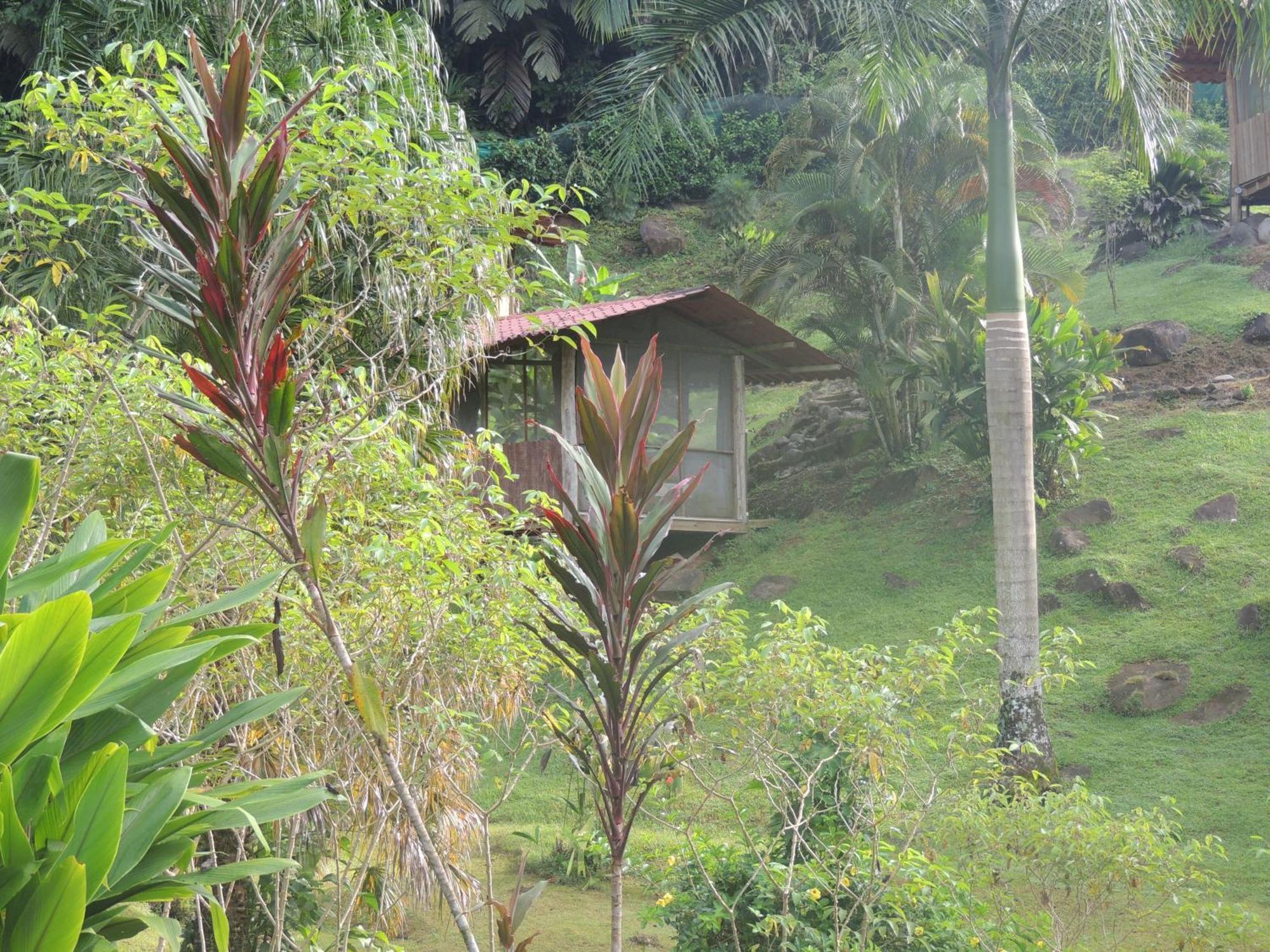 Pacuare River Lodge Bajo Tigre Exterior photo