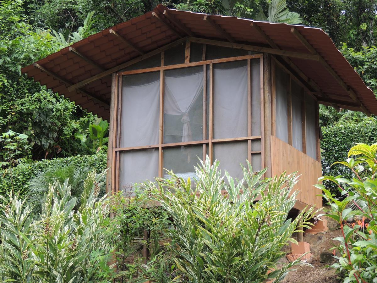 Pacuare River Lodge Bajo Tigre Exterior photo