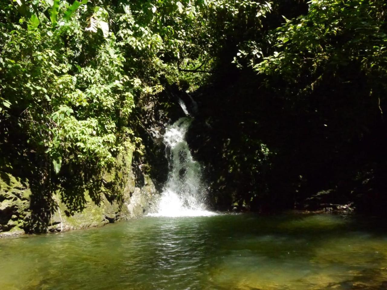 Pacuare River Lodge Bajo Tigre Exterior photo